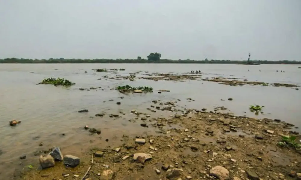 Rio Paraguai registra nível mais baixo da história em meio à seca extrema no Pantanal