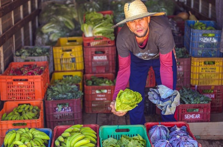 SES celebra 10 anos do Guia Alimentar Brasileiro com web aula sobre inclusão e promoção da saúde