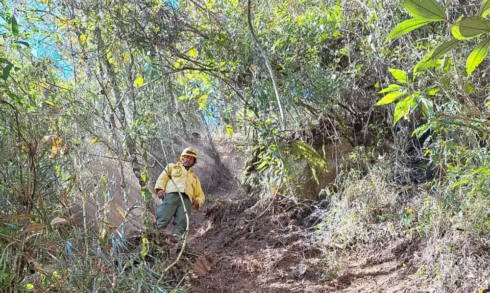 ICMBio multa Exército em 6,5 milhões por incêndio florestal em parque