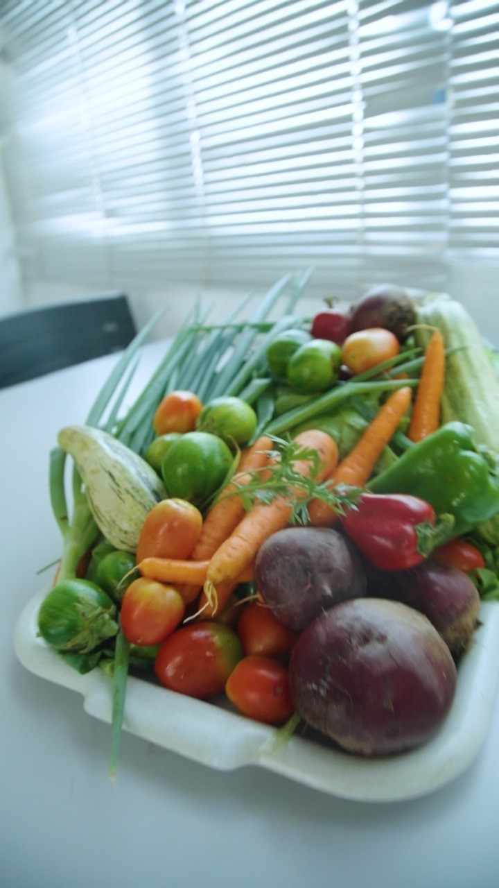 Cesta Verde complementa alimentação de famílias em Ponta Porã