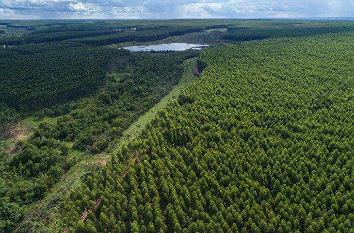 Prestes a se tornar novo polo da celulose, cidade de MS recebe estudo para nortear crescimento