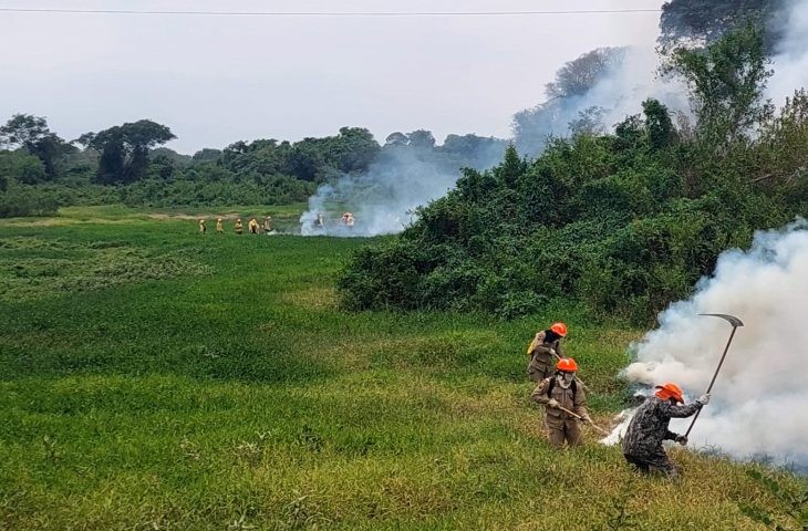 Chuvas no Pantanal de MS ajudam no controle de focos; Bombeiros mantém ações