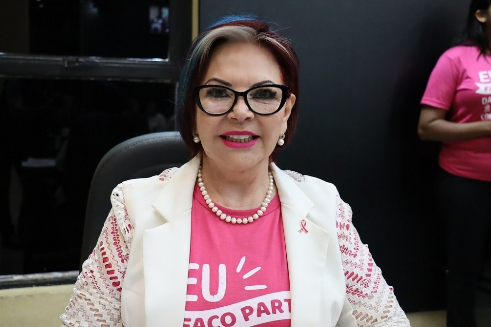 Lourdes Monteiro solicita melhorias para o trânsito escolar