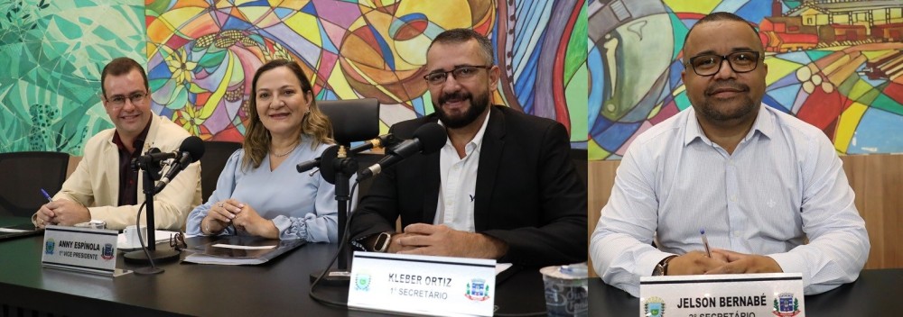 Sessão da Câmara foi presidida pela Vereadora Anny Espínola