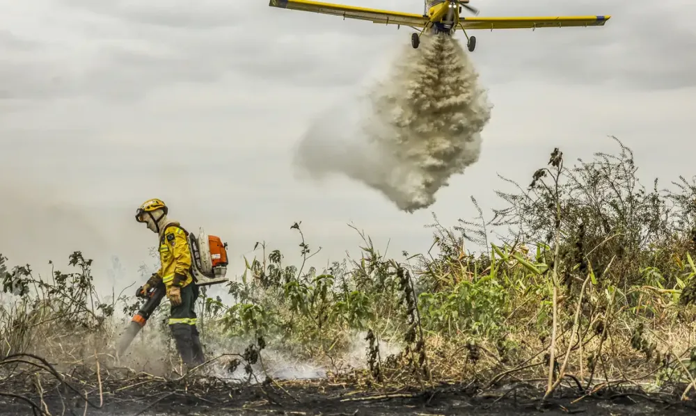Pantanal: redução da área alagada tem favorecido aumento de incêndios