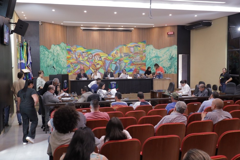 Vereadores aprovam projetos e fazem balanço positivo de viagem a Brasília
