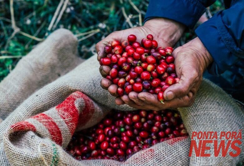 Exportações do agro brasileiro batem recorde e alcançam US$ 14,27 bilhões