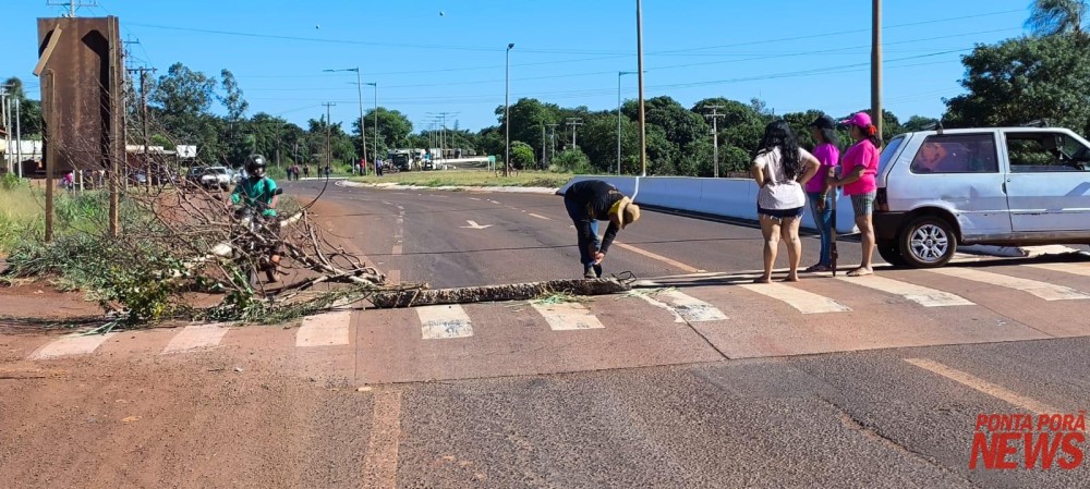 Em protesto por falta de água, indígenas bloqueiam MS-156 entre Dourados e Itaporã