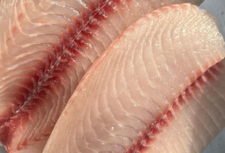 Brasil se prepara para tirar peixe da água e colocar em prateleira norte-americana em 36 horas