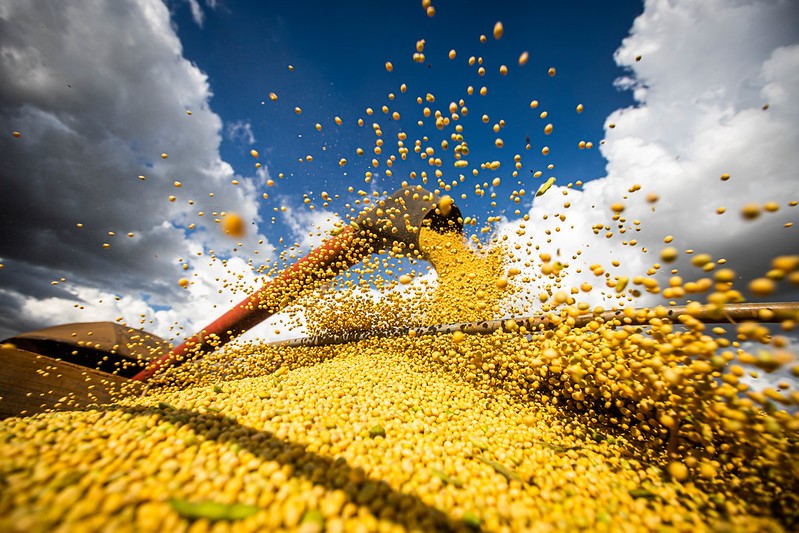 PIB do agro pode crescer 5% em 2025 diz CNA, que alerta para desafios