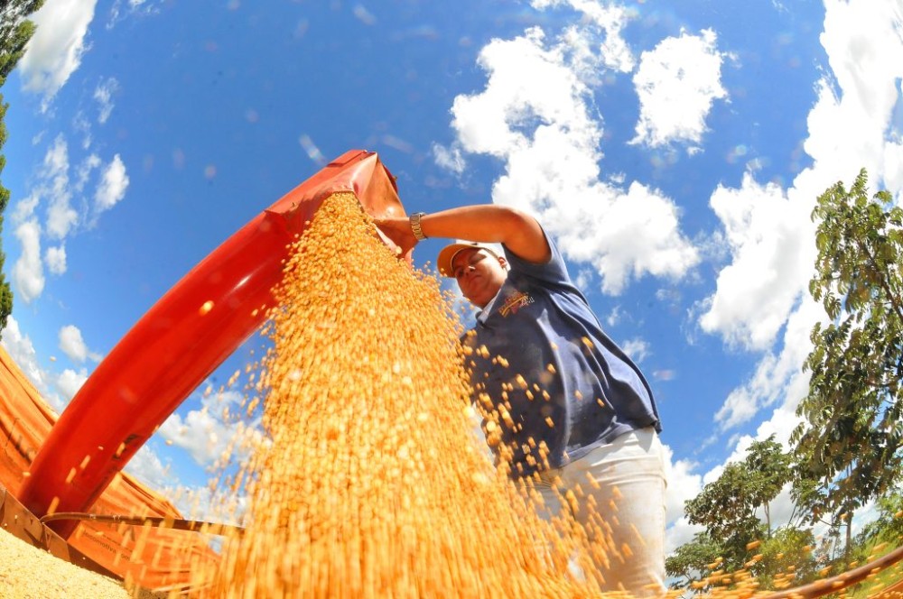 Produtores rurais devem declarar área plantada de soja até 10 de janeiro