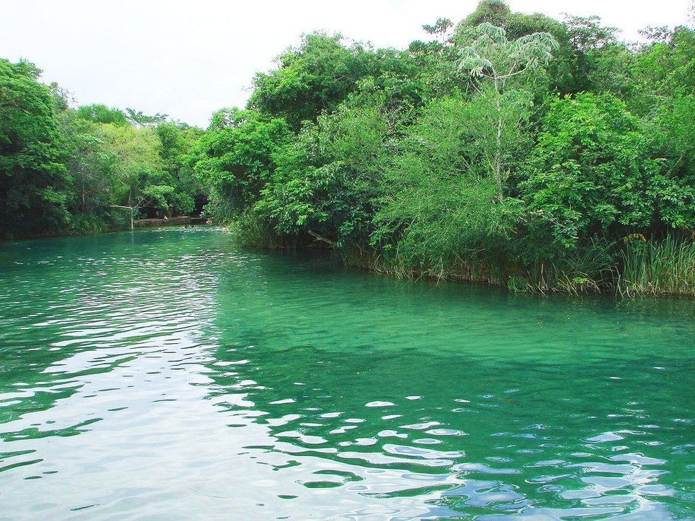 Turistas ficam perdidos em mata fechada após se aventurarem às margens de rio em Bonito