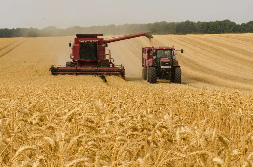 Crédito rural recua no 2º semestre de 2024, mas financiamentos privados crescem