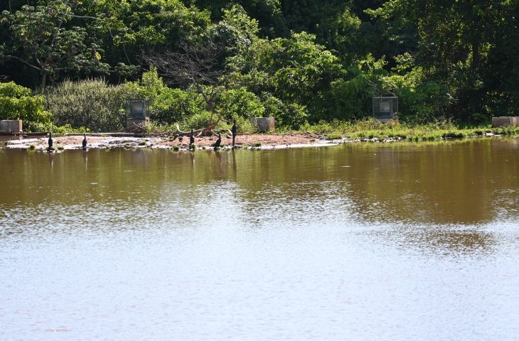 Desassoreamento do lago de contenção chega a 80% no Parque das Nações Indígenas