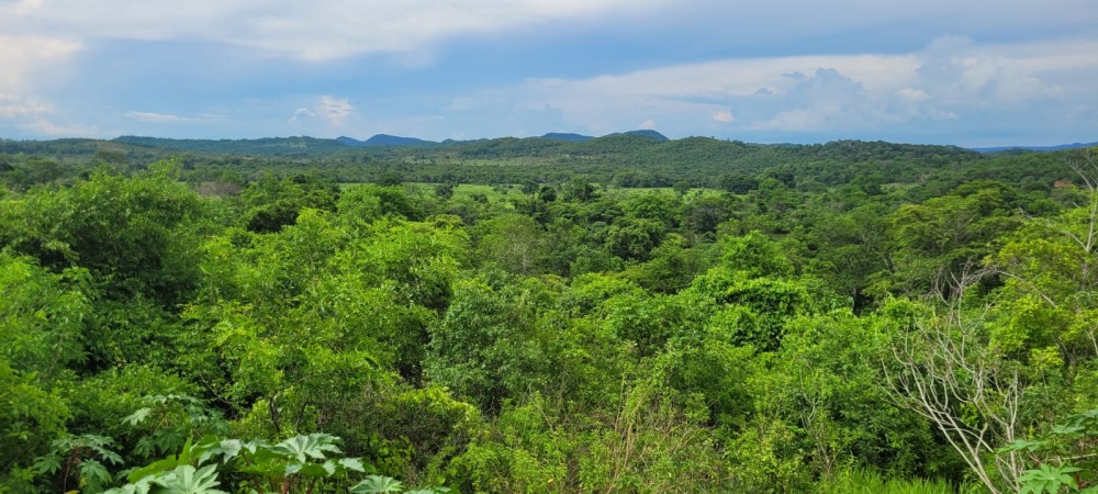Governo de MS divulga índices da participação do ICMS Ecológico para 2025