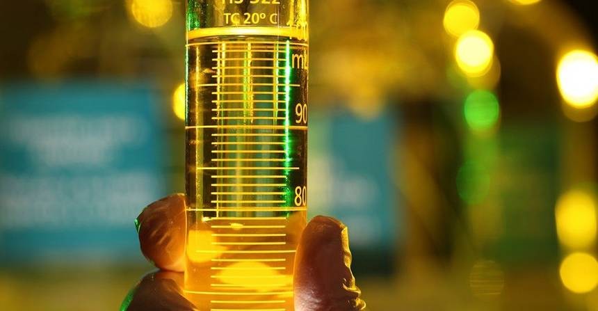 20 anos de biodiesel: selo social fortalece agricultura familiar