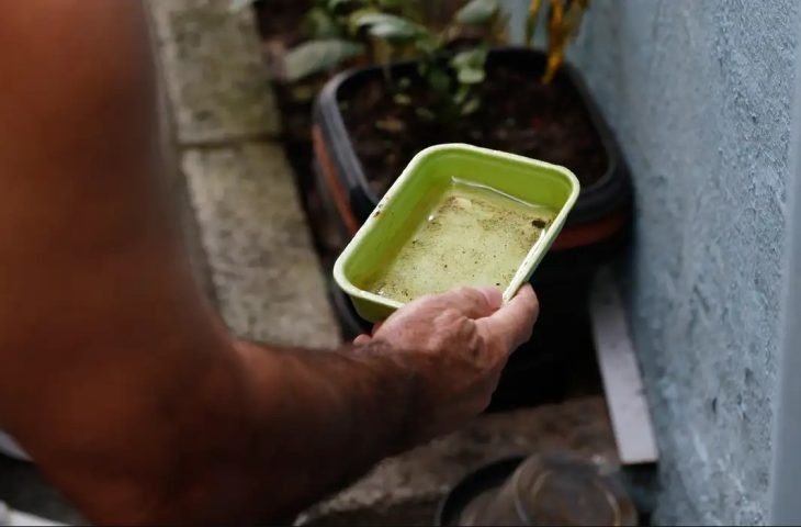 Mato Grosso do Sul registra quase 300 casos prováveis de dengue e confirma 25