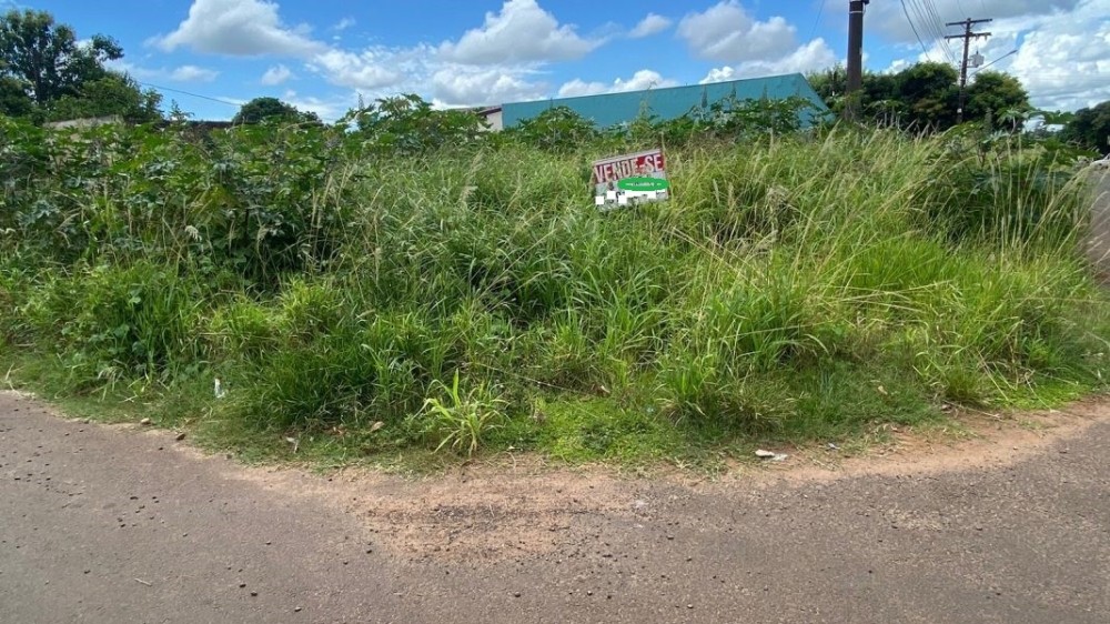 Prefeitura notifica proprietários para limpeza de terrenos