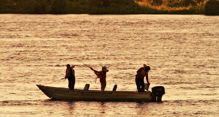 ‘Pesque e solte’ está liberada na calha do rio Paraguai a partir de sábado