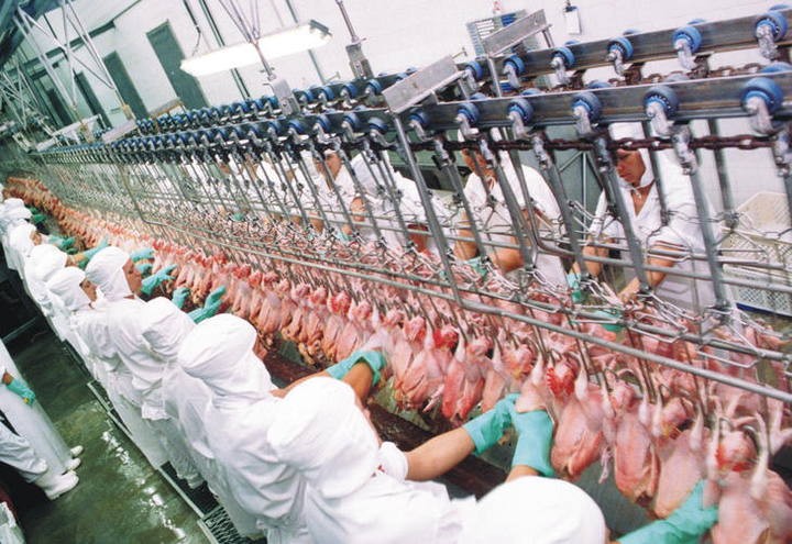 Exportação de carne de frango cresce 9,4% e atinge 443 mil t, recorde para o mês