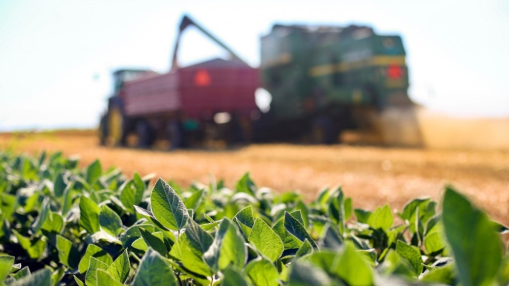Agronegócio deve puxar a economia e fazer PIB crescer 2,3%, diz Fazenda