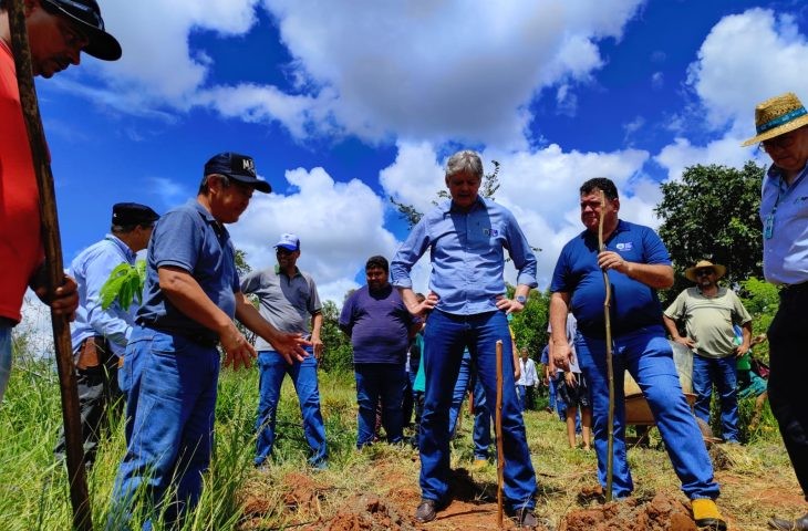MS inova ao inserir a agricultura familiar no mercado de crédito de carbono