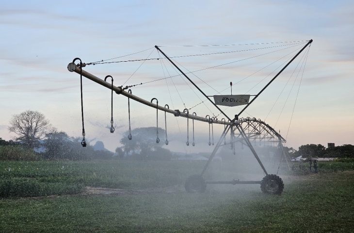 FCO aprova R$ 219,7 mi para novos empreendimentos; irrigação e citricultura são destaque