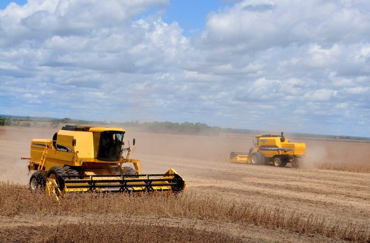Produção agrícola de MS deve chegar a 75,3 milhões de toneladas na safra 2024/25