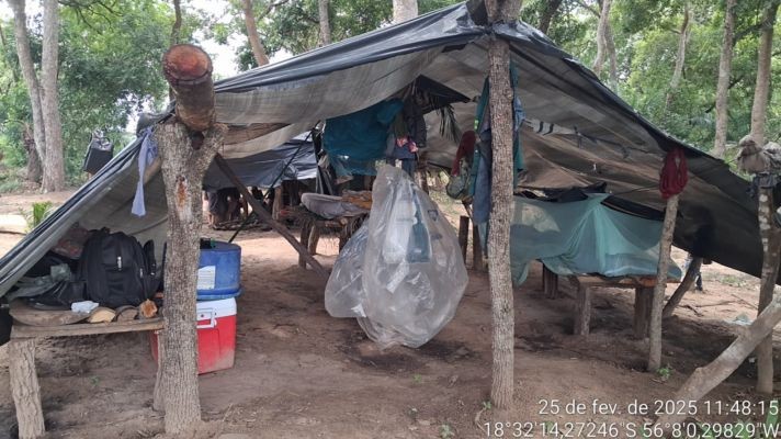 MPT-MS pede expropriação de fazenda que manteve trabalhadores em condições análogas à escravidão