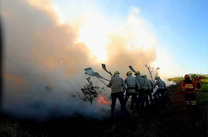 MS antecipa cronograma de prevenção de incêndios e lança PSA Brigadas em abril