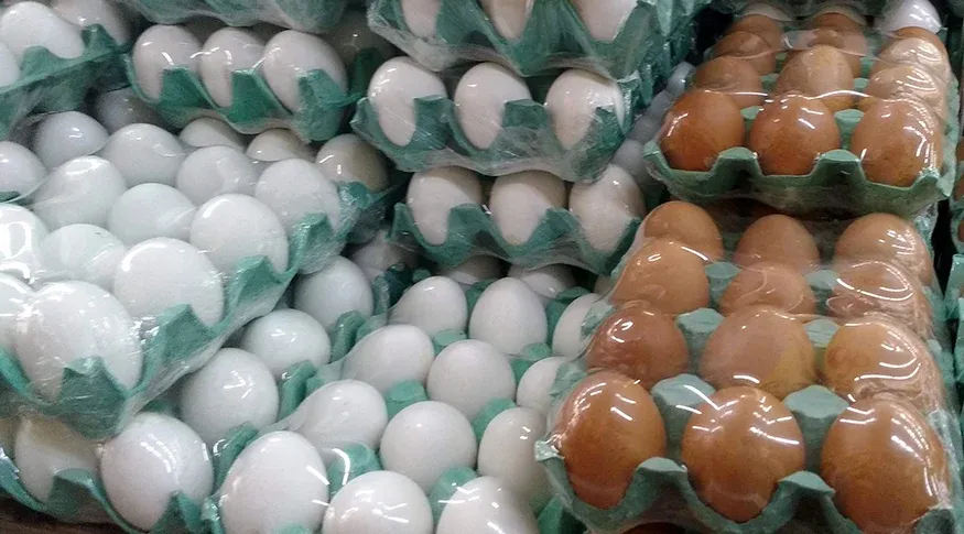 Preços dos ovos caem em março, e carne de frango volta a subir