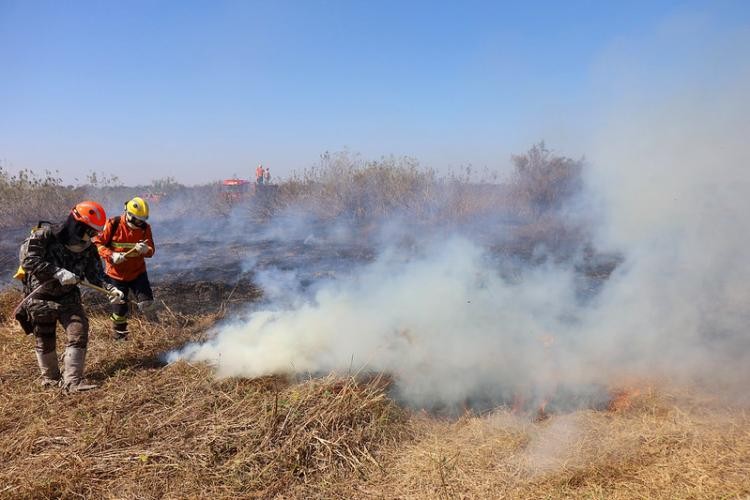 Governo decreta estado de emergência ambiental em MS
