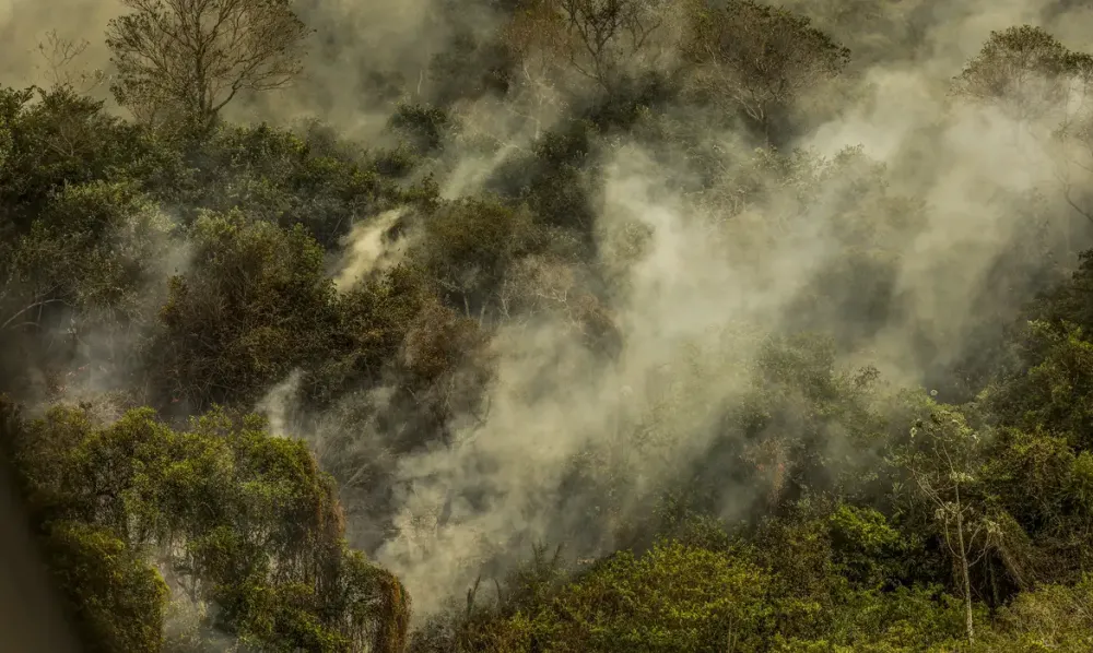 Crise climática pode provocar nova extinção em massa, diz pesquisador