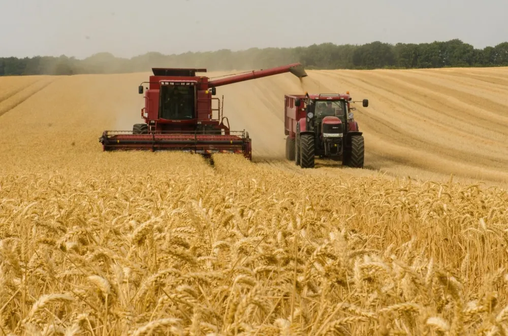 PIB do agronegócio alcança R$ 2,7 trilhões e fecha 2024 com crescimento