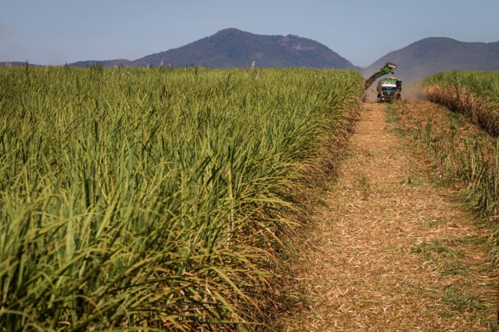 Preços do açúcar e do etanol sustentam patamar na última semana