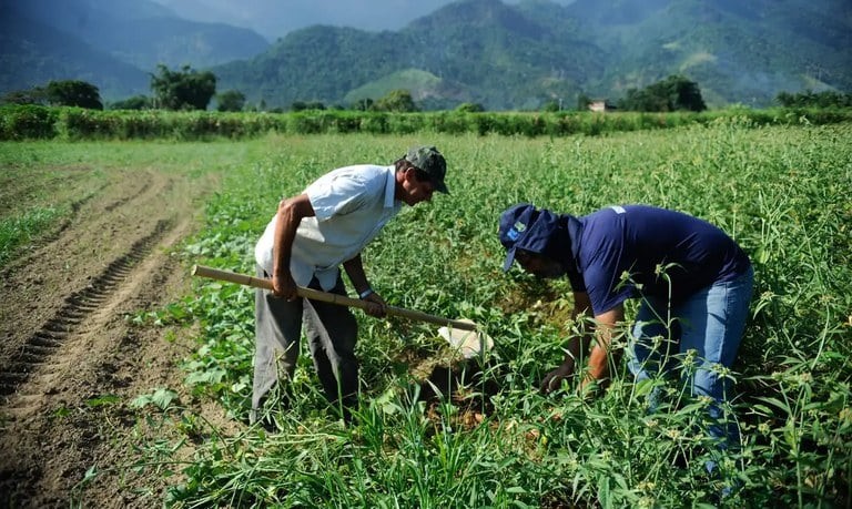 Com quase 8 mil projetos, Banco do Agricultor já liberou R$ 1 bilhão para produtores