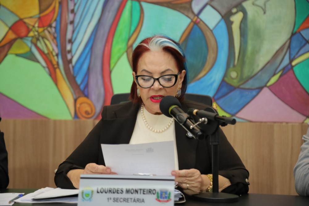 Lourdes Monteiro solicita melhorias e limpeza urbana no Jardim Primor e Universitário