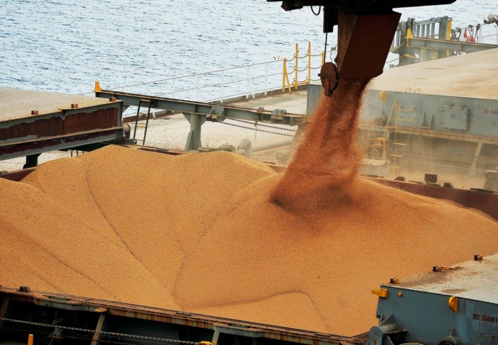 Importação de soja brasileira pela China cai 22,2% em abril ante 2024