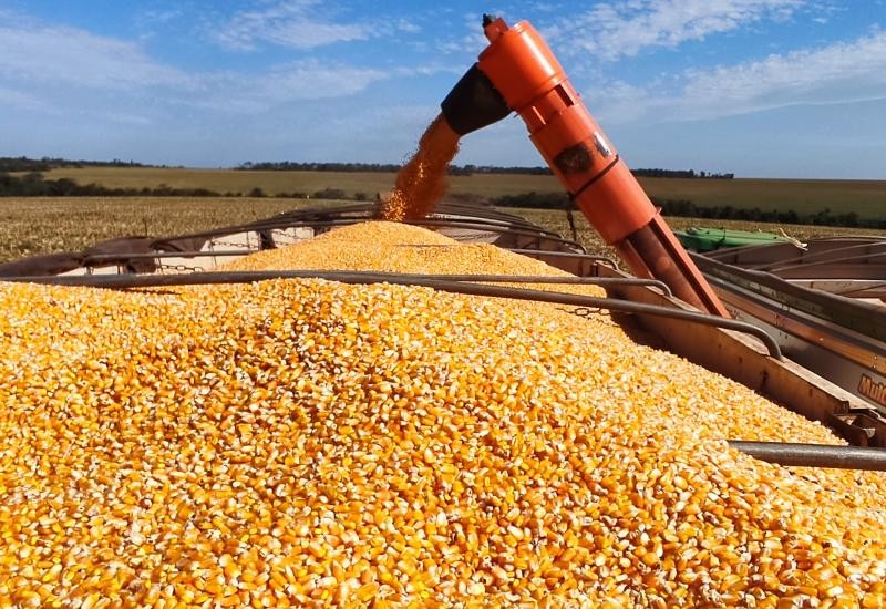 Produção de etanol de milho cresce no país e coloca MS entre os maiores produtores