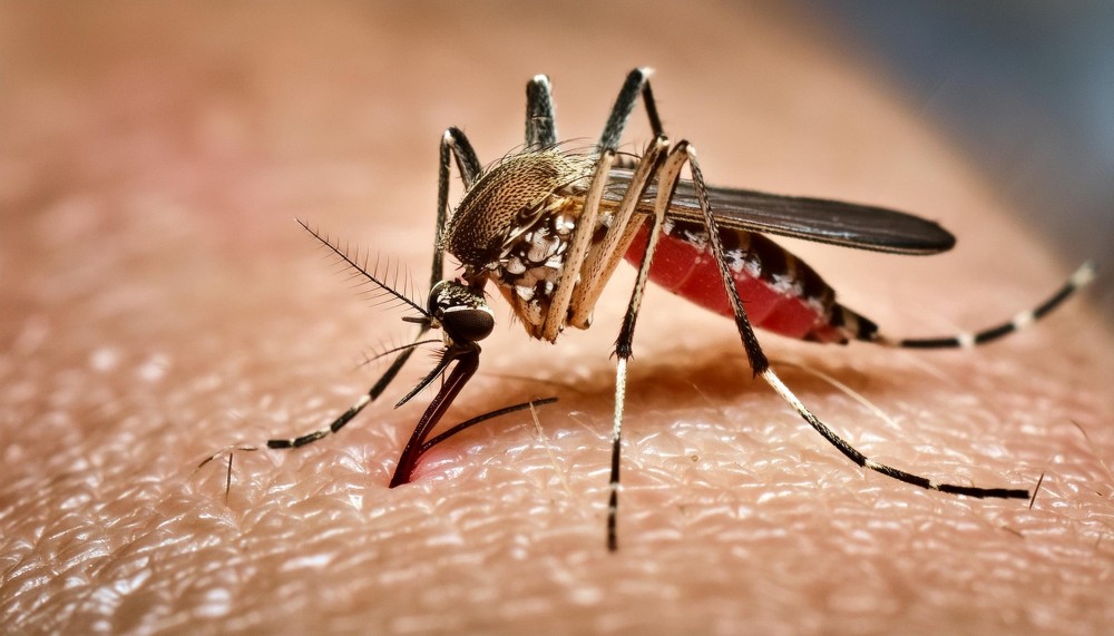 Saúde registra 12,8 mil casos prováveis e 5,1 mil confirmações de Dengue em MS