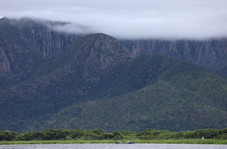 MS fortalece pauta ambiental com Fórum de Mudanças Climáticas e encontro regional