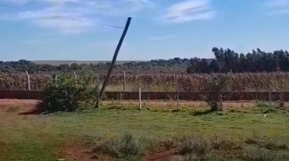 Presença de onça assusta moradores no distrito de Nova Itamarati, em Ponta Porã