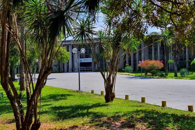 Projeto dispõe sobre remoção e reinstalação de postes instalados inadequadamente