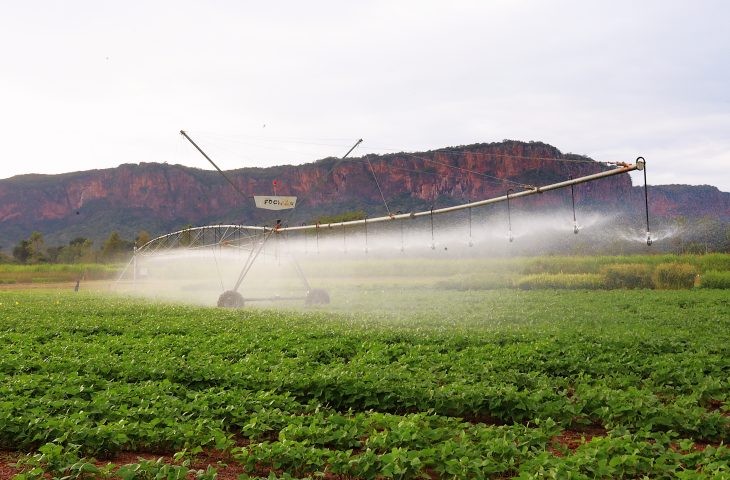 Pantanal Tech MS se consolida como vitrine do agro sustentável e economia criativa