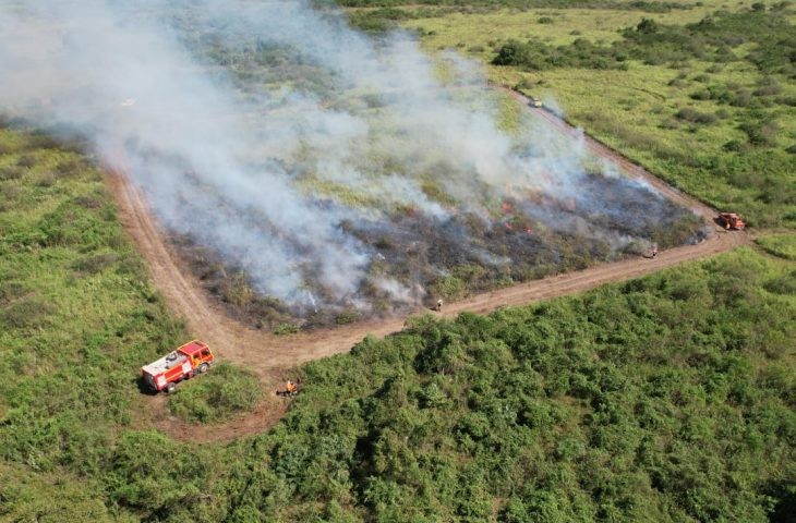 Governo suspende queima controlada até novembro e amplia restrição para dezembro