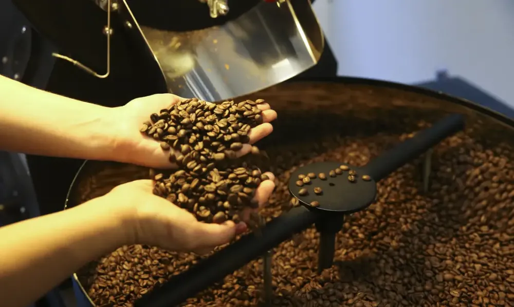 Preço do café cai pela primeira vez depois de 18 meses, diz IBGE