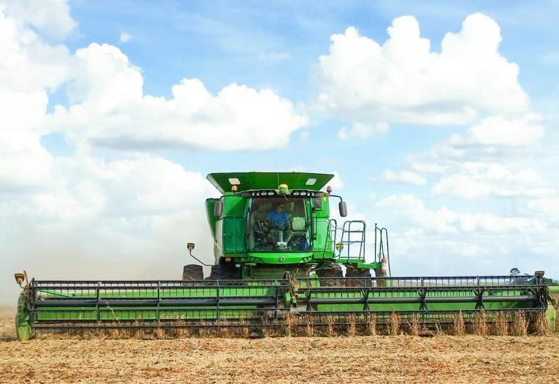 MS exporta 20% mais soja em julho de 2025 do que no mesmo mês de 2024