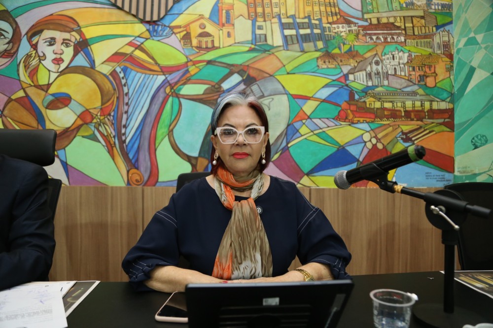 Lourdes Monteiro pede revitalização de espaços públicos e limpeza urbana em Ponta Porã