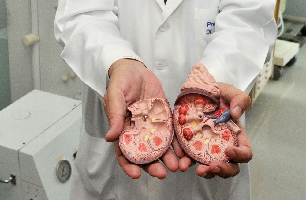 Incidência de pedras nos rins aumenta 30% no verão, alertam médicos