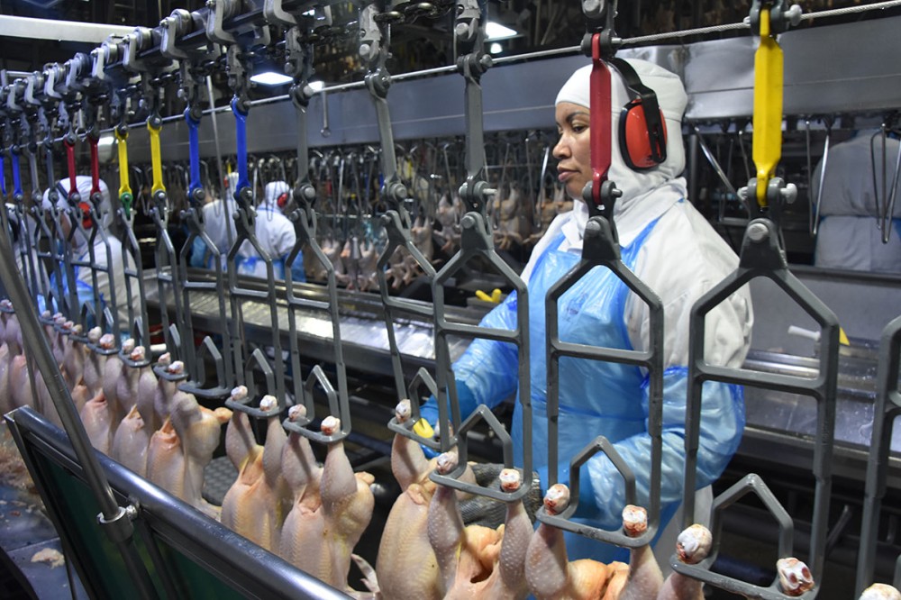 Receita com exportação de produtos industriais de MS registra US$ 667,7 milhões em agosto